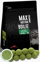Haldorádó Max Motion Boilie Premium Soluble 24 mm Green Force - Oldódó Prémium Bojli