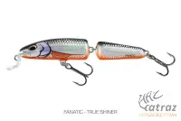 Salmo IF7FL True Shiner - Salmo Fanatic Wobbler